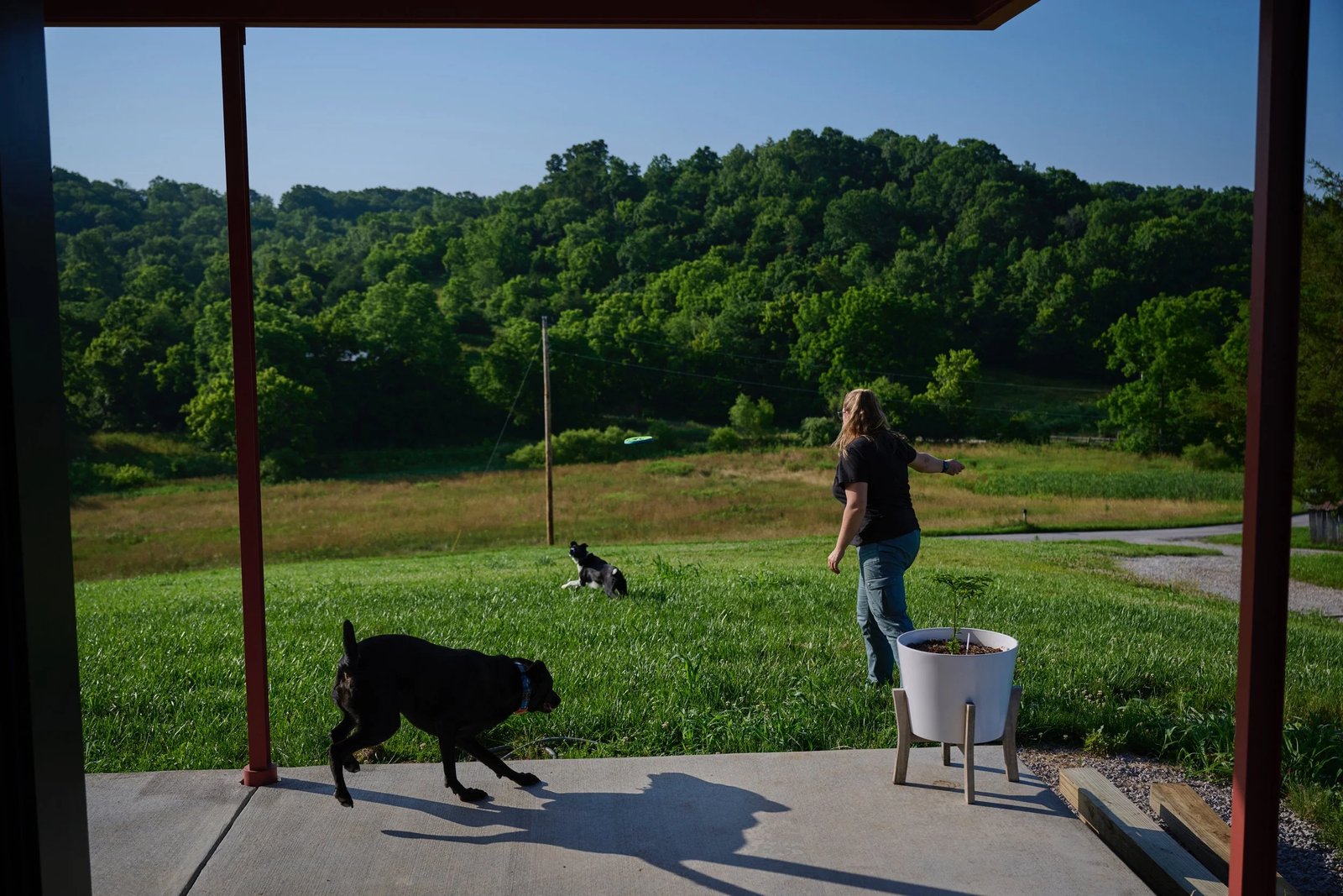 Laurel at Crow's Bluff Farm